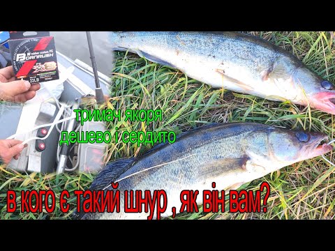 Видео: ЗНОВУ ПРИМАНКА ЯКА КОСИТЬ/ З ГАРНИМ ШНУРОМ ВІД YGK БУДЕШ ЗАВЖДИ З СУДАКОМ /ТРИМАЧ ЯКОРЯ З AliExpress