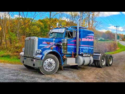 Видео: Припаркованный в живой изгороди на 25 лет — поедет ли он снова? Peterbilt 359
