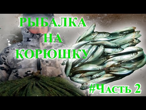 Видео: ✔Зимняя рыбалка на корюшку/Часть2/24 часа на льду/🐟🐟🐟/Ни хвоста ни чешуи