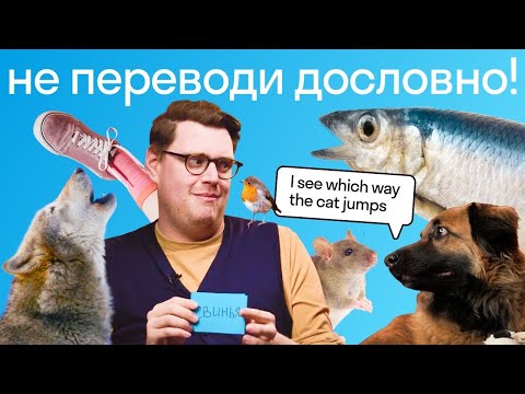 Видео: 6 странных английских идиом, которые значат совсем не то, что кажется