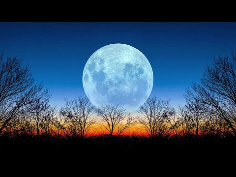 Видео: КАРТА ДНЯ НА 4 НОЯБРЯ 2025 ГОДА