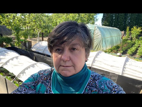 Видео: " ... чому ви зациклилися лише на гірчиці .., невже ви нічого не знаєте про інші сидерати ."