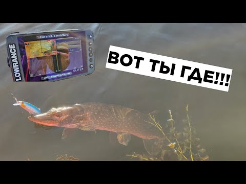 Видео: НАШЁЛ ГДЕ ПРЯЧЕТСЯ ЩУКА ОСЕНЬЮ! Осенняя рыбалка на хищника, знаю где искать