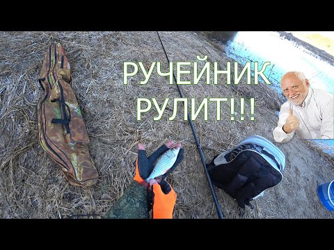 Видео: ВЕСЕННЯЯ ПЛОТВА на РУЧЕЙНИК!!! Открытие весеннего сезона 2022