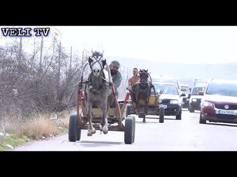 Видео: Състезание с Коне Бошко  Номер 1