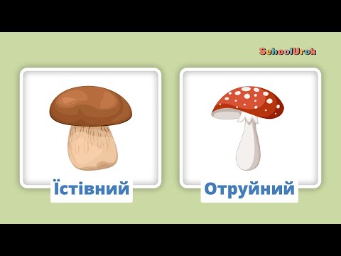 Видео: Протилежності для дітей | Вивчаємо протилежності для дошкільнят  | Частина 3