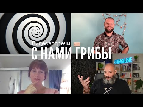 Видео: С нами грибы. Грибы и гипноз. Михаил Вишневский, Александр Кирпичёв, Елена Александрова