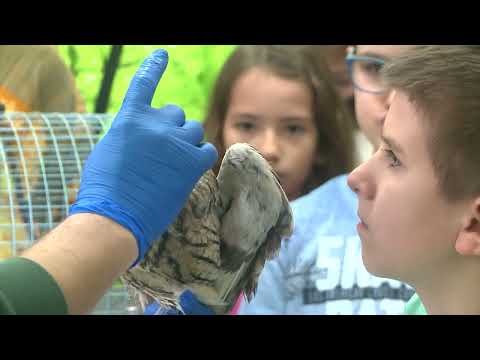 Видео: Ден на отворените врати в спасителен център Зелени Балкани