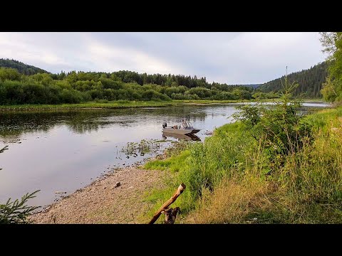 Видео: Попали на хороший клев хариуса..