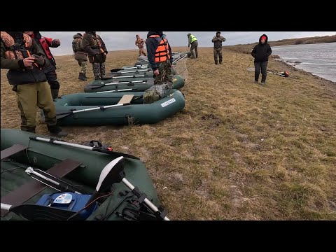 Видео: Мага зверь всех порвал на турнире...