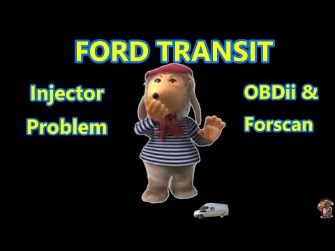Видео: Установка и программирование инжектора Ford Transit Mk7. ForScan