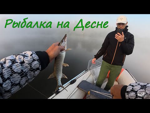 Видео: Рыбалка на Десне. Кренки
