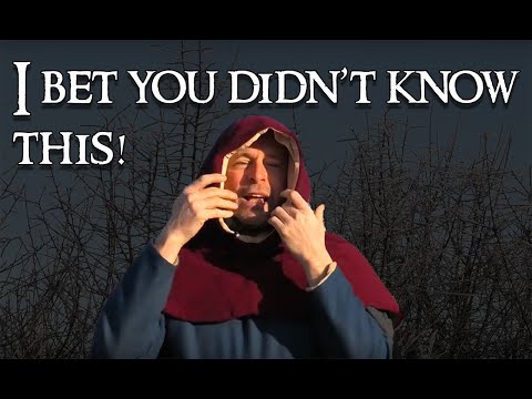 Видео: Средневековые капюшоны: забавная особенность средневековых капюшонов и удивительное открытие!