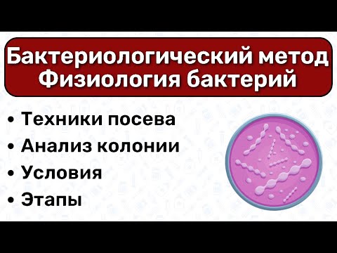 Видео: Бактериологический метод МИКРОБИОЛОГИЯ: культуральный метод, посев на питательные среды микра