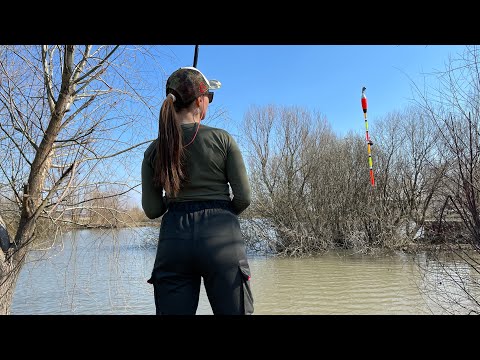 Видео: Ловила ЛИНЯ а пришли СОМЫ! Рыбалка на поплавочную удочку без колец