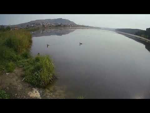 Видео: Из архивного видео 2022 г от Еретнова В.Б. На городском пруду.