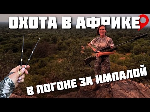 Видео: ОХОТА В АФРИКЕ | Финальный день | В поисках ИМПАЛЫ 🦌
