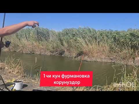 Видео: Фурмановка балык кармоо аябай жакшы болду эс алдык