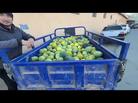 Видео: 19 10 2025 ЭЛЛИККАЛА БУСТОН ТАРВУЗ КОВУН НАРХЛАРИ 