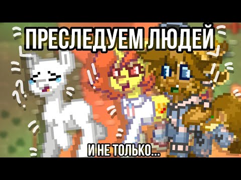 Видео: /😇/ПРЕСЛЕДУЕМ ЛЮДЕЙ И НЕ ТОЛЬКО/😇/ПОНИ ТАУН