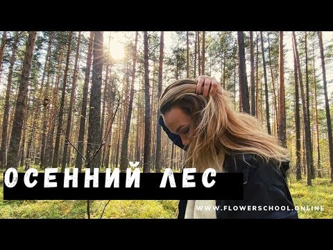 Видео: Осенний лес // материалы для флористических аранжировок