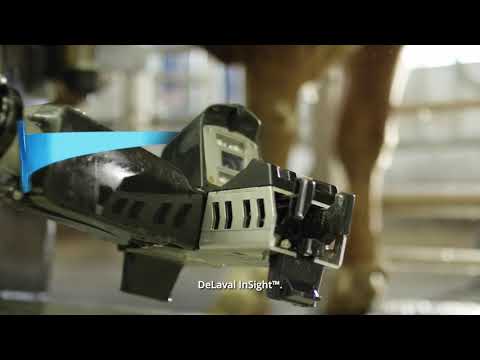 Видео: Робот-дояр® DeLaval VMS™ V300.  Новая система добровольного доения