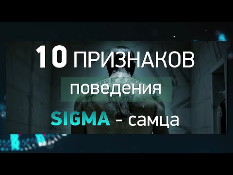 Видео: СИГМА - самец. Кто такие сигма мужчины: 10 признаков