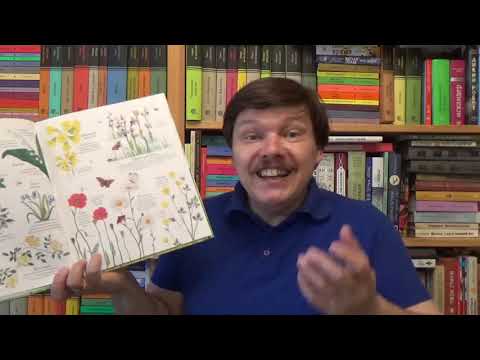 Видео: Минна Лейси. Встречи с дикой природой