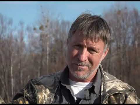 Видео: Зеленый сад фильм № 300 "Урок земледелия № 4. Фиалки" от 25.01.20г. Хабаровск (zeleniisad.ru)