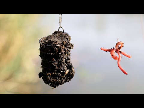 Видео: Выкосил место ловли и наловил рыбы, рыбалка на фидерную снасть, поклёвки леща и карася