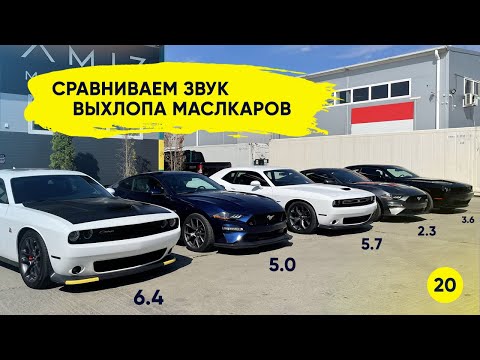 Видео: Как должен звучать настоящий маслкар. Ford Mustang vs Dodge Challenger.