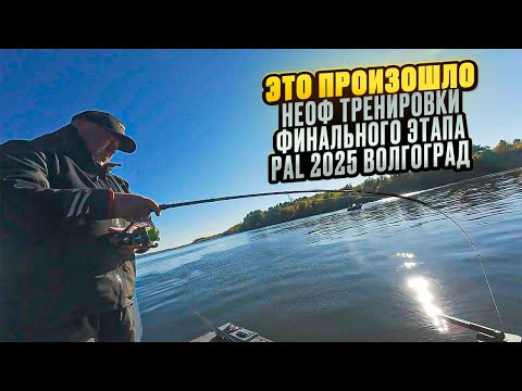 Видео: Неофициальные тренировки экипажа ЧУЛАНОВ-ВОЛКОВ финального этапа PAL 2025 Волгоград