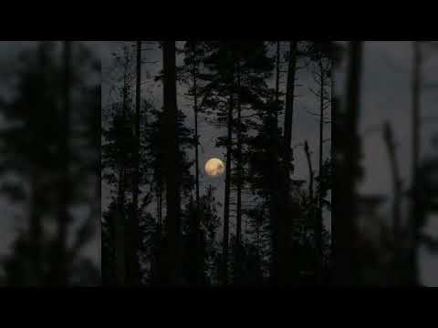 Видео: Король и Шут - Воспоминания о былой любви /speed up/nightcore