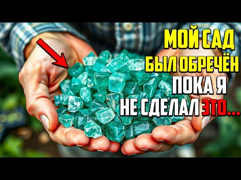 Видео: Никогда Не Используйте Железный Купорос, Пока Не Узнаете Это
