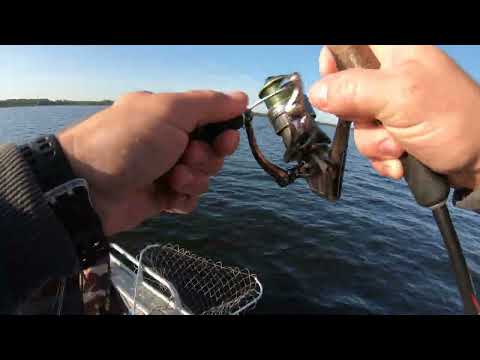 Видео: В поисках Жереха!