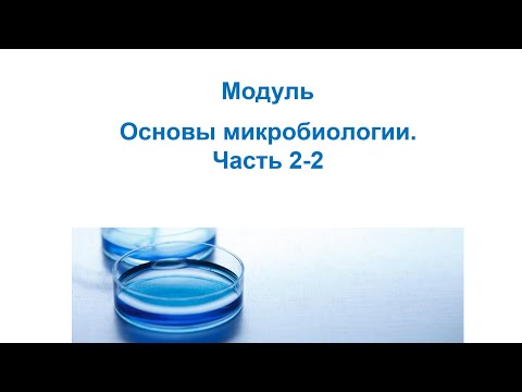 Видео: Основы микробиологии. Часть 2-2. Метаболизм прокариот. Способы существования жизни