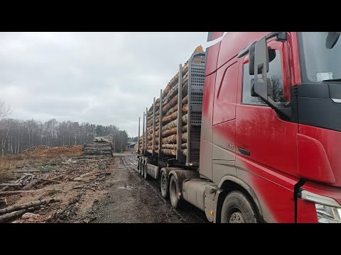 Видео: Только ВПЕРЁД не шагу НАЗАД.