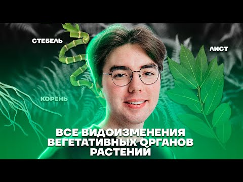 Видео: Все видоизменения вегетативных органов растений | Биология ОГЭ 2023 | Умскул