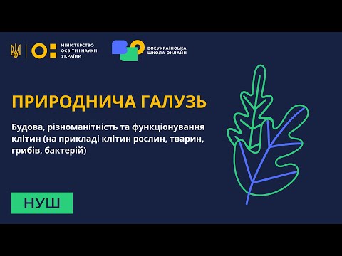 Видео: Природнича галузь. Будова, різноманітність та функціонування клітин рослин, тварин, грибів, бактерій