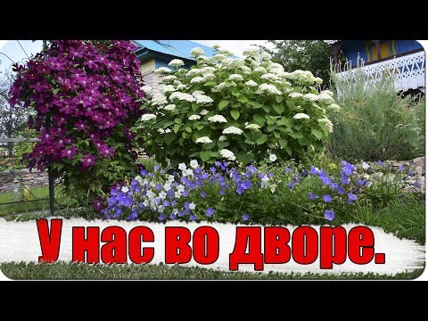 Видео: У нас во дворе. / холодная ковка / ландшафтный дизайн ( влог №36 )