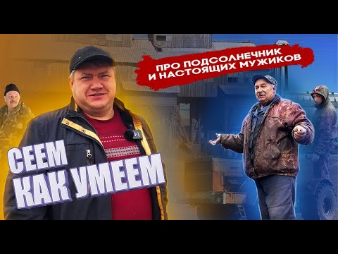 Видео: ЭТО НОРМАЛЬНО?  Урожайность 15 центнеров! Убираем ПОДСОЛНЕЧНИК в колхозе!