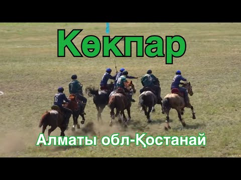 Видео: Көкпар Алматы обл-Қостанай