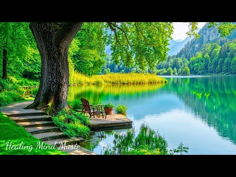 Видео: Расслабляющая музыка для эмоционального исцеления 🌿 Красивые звуки природы от тревожности