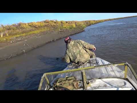 Видео: Едем проверять сети  И снова Чир!