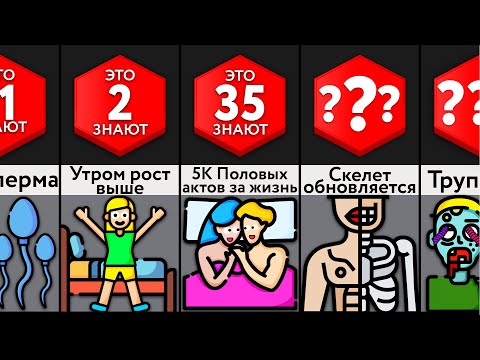 Видео: Спорим, Ты Не Знал Этого О Себе
