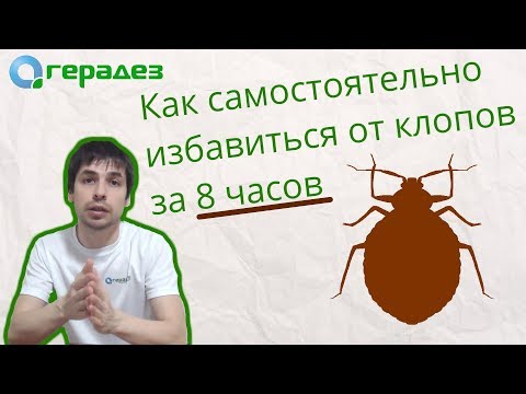 Видео: Вывести клопов в домашних условиях за 1 день без вреда для детей