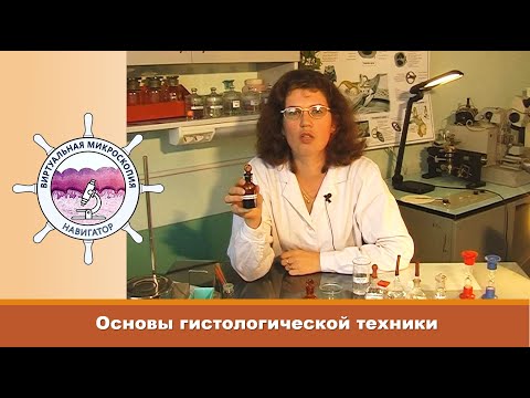 Видео: HistoNavigator - Основы гистологической техники