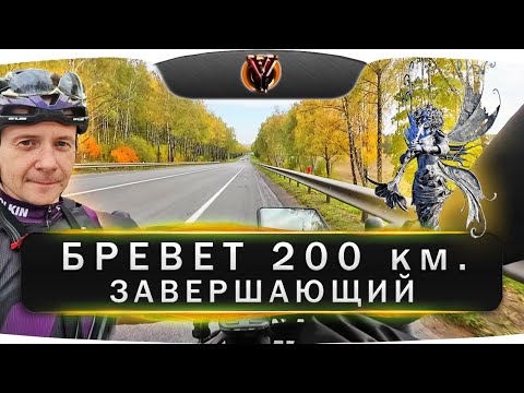 Видео: Бревет 200 км "Завершающий". Закрытие велосезона 2023 года