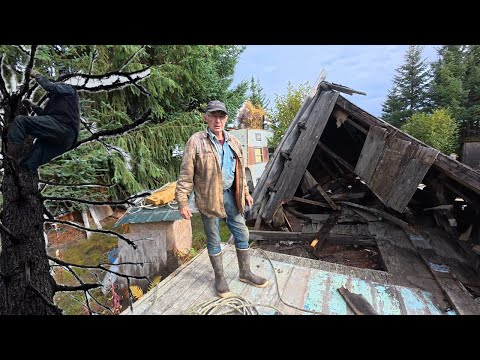 Видео: 73 и всё ещё лазаю по деревьям || Наконец-то демо Хауса || Отто Килчер: Последний рубеж Аляски