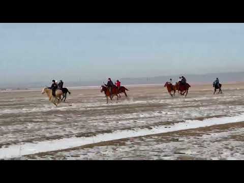 Видео: Тай жарыс 25/01/2025ж Қордай ауданы,Кенен ауыл,